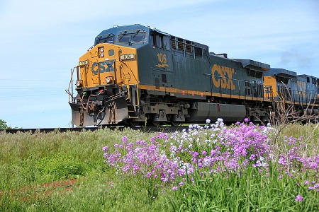 Passing some wild flowers in Greenwich as a manifest freight heads for Crestline.