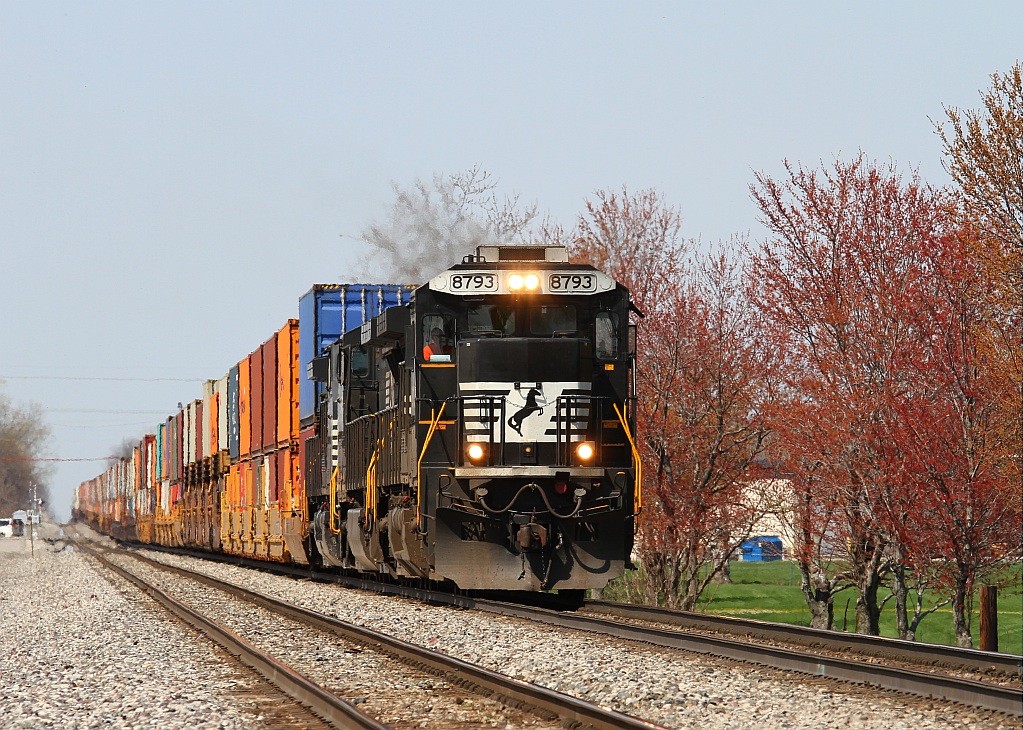 A colorful NS train No. 234 passing some "red buds" in Bellevue. 