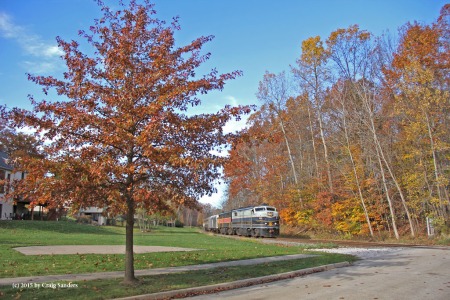 The best color of the day was at milepost 43 in Akron behind a housing development.