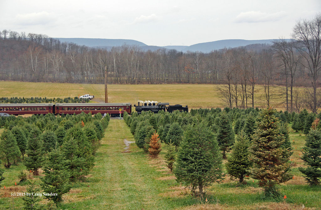 Passing a Christmas tree farm, which was doing a brisk business today.
