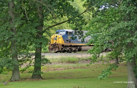 The nose of a westbound as seen through the trees of Warwick Park.