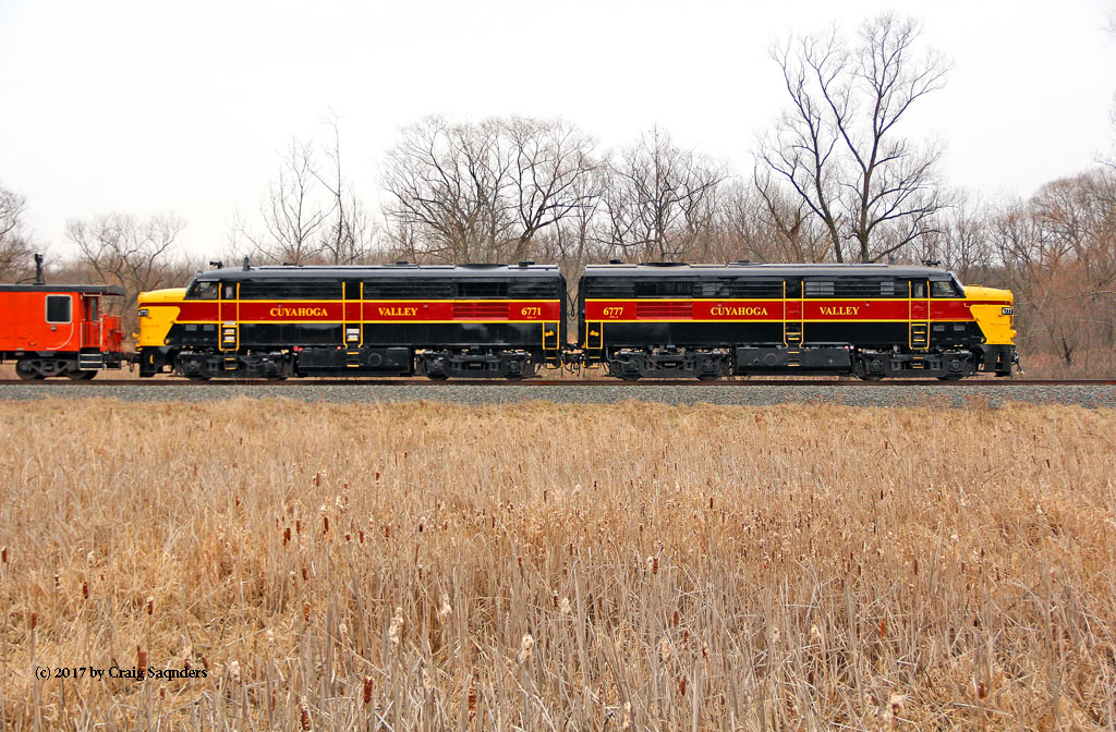 Cuyahoga Valley Scenic Railroad FPA4 Nos. 6771 and 6777 trail as they roll northbound past the golden rod field along Riverview Road between Boston Mill and Jaite.